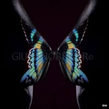 Giuliano Bekor - Butterflies - B013 - Limited Series thumb