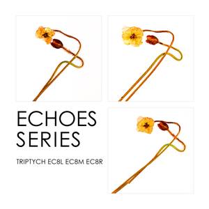 Collection Echoes Series