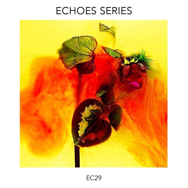 Original Abstract Floral Photography by Giuliano Bekor