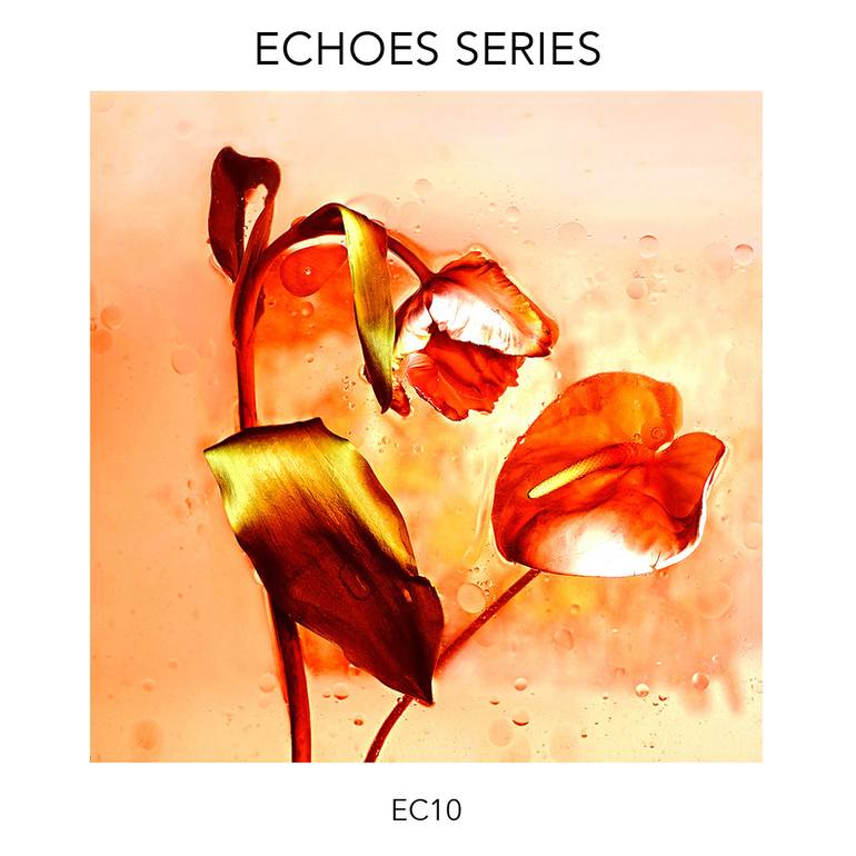 Original Abstract Floral Photography by Giuliano Bekor