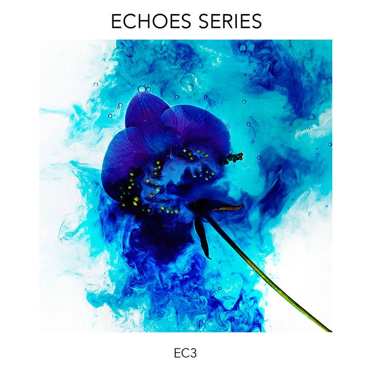 Original Abstract Floral Photography by Giuliano Bekor