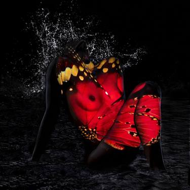 Giuliano Bekor - Butterflies Series - B21 - Limited Edition of 10 thumb