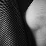 Collection ART OF FISHNET SERIES