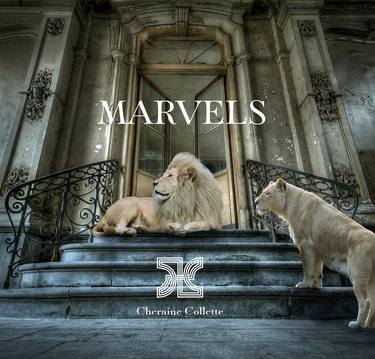 MARVELS – Limited Edition Book with Clamshell Box Artwork thumb