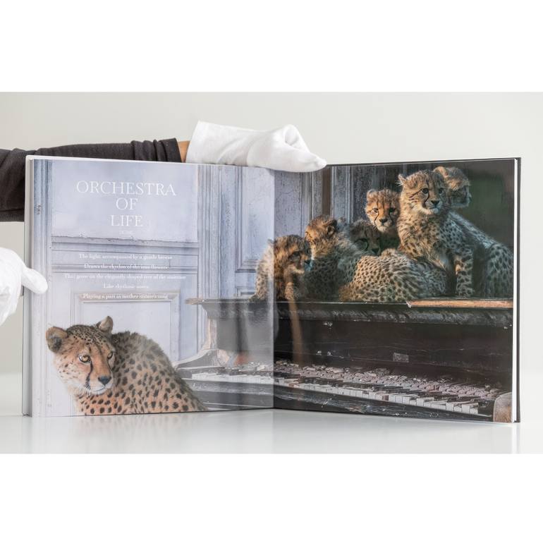 Original Book Animal Photography by Cheraine Collette