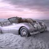 Timeless Temptation (Frame incl.) - Edition of 2 by Cheraine Collette