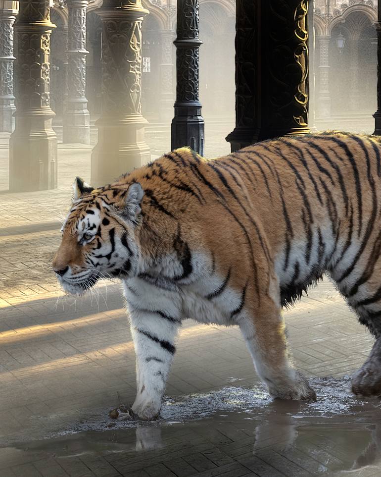 Original Romanticism Animal Photography by Cheraine Collette