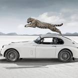 Collection Pantone Color of the Year: Cloud Dancer