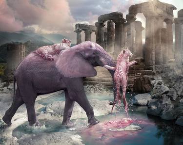 Original Contemporary Animal Photography by Cheraine Collette