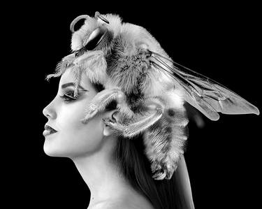Original Contemporary Fantasy Photography by Cheraine Collette