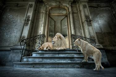 Original Surrealism Animal Photography by Cheraine Collette
