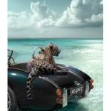 No Limit - Studio Edition of 12 by Cheraine Collette