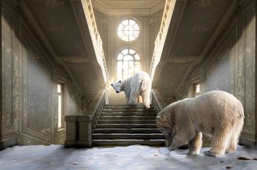 Original Conceptual Animal Photography by Cheraine Collette