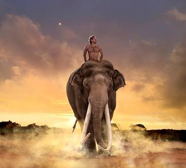 Elephated Dawn (Coloured) - Limited Edition of 2/1AP thumb