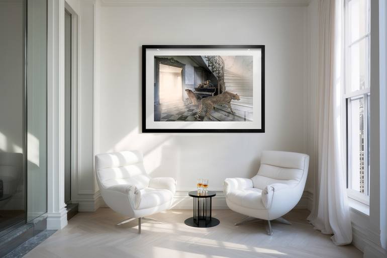 Original Fine Art Animal Photography by Cheraine Collette