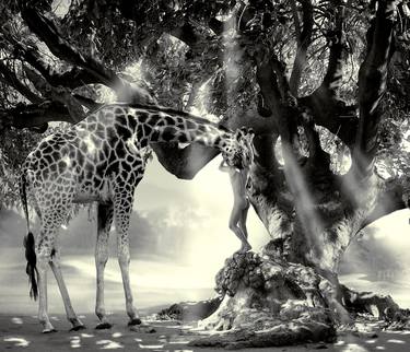 Original Animal Photography by Cheraine Collette