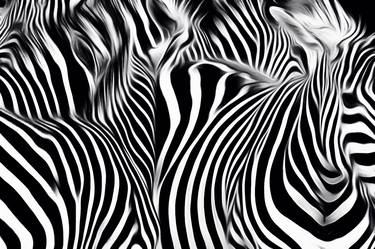 Zebra Camouflage - Limited Edition 1 of 1 thumb