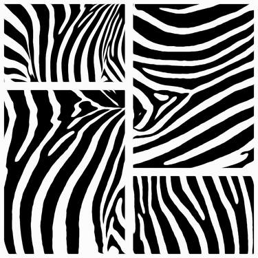 Zebra Photomontage - #8 - Limited Edition 1 of 7 thumb