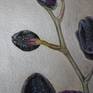 Black Orchid detail 2