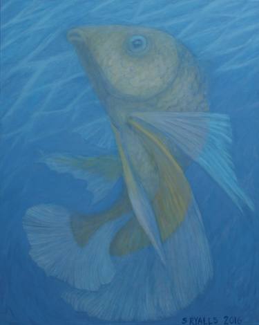 Original Fine Art Fish Paintings by Steven Ryalls