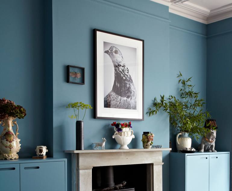 Original Other Animal Photography by Richard Bailey