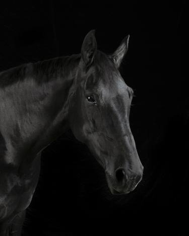 Black horse #1 - Limited Edition of 10 thumb