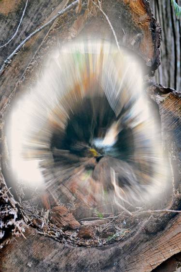 Original Impressionism Tree Digital by Garrett Andrew Chong