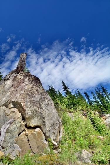 Print of Documentary Nature Photography by Garrett Andrew Chong