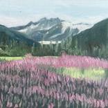 Pink Poppy by Vidya Rani Alur Silina