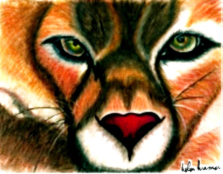 tiger eye drawing
