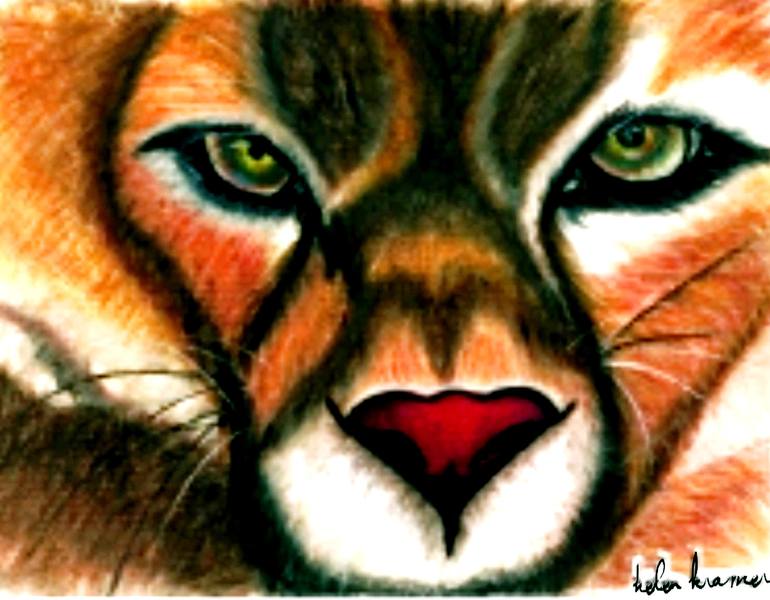 Tiger Eyes Drawing by Helen Kramer | Saatchi Art