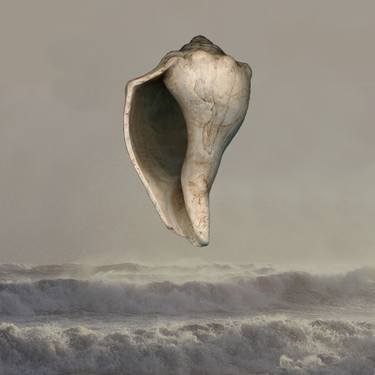 Original Fine Art Seascape Photography by Amy Ragus