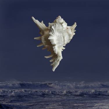 Original Fine Art Seascape Photography by Amy Ragus