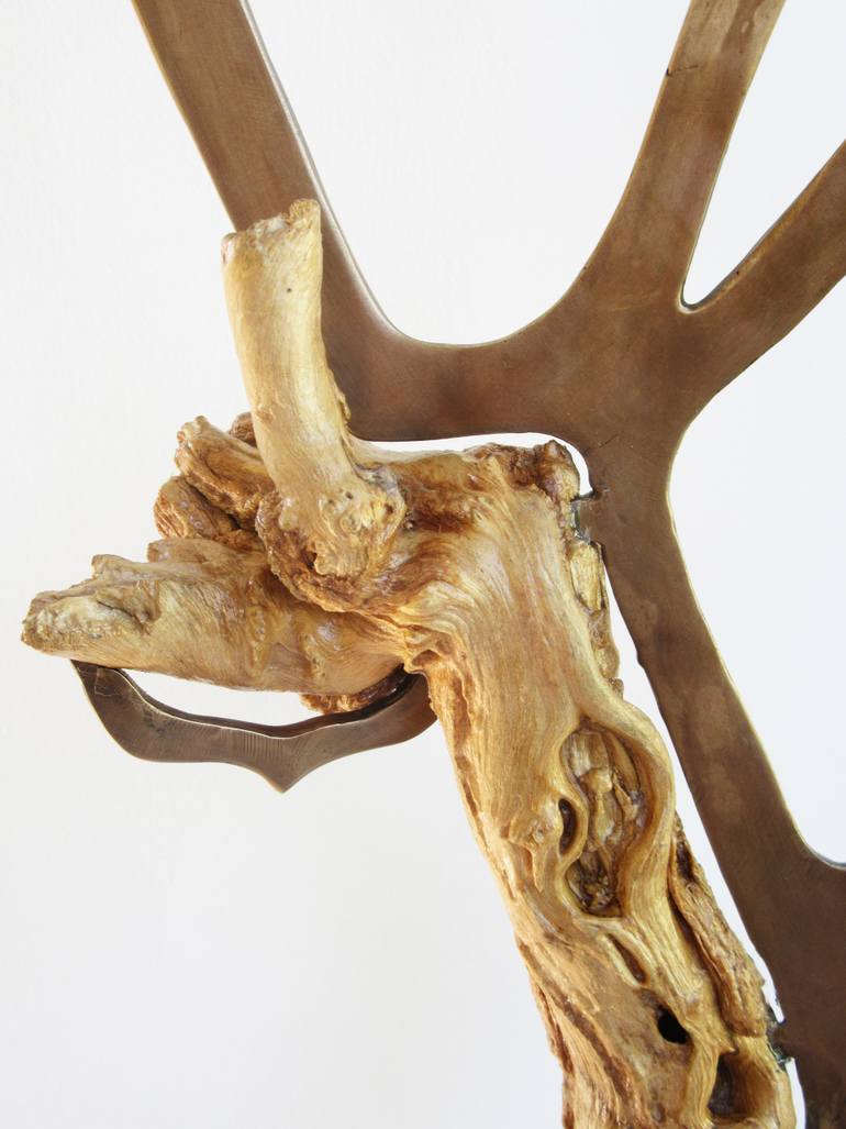 Original Fine Art Nature Sculpture by Shaul Baz