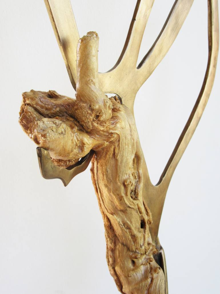 Original Fine Art Nature Sculpture by Shaul Baz
