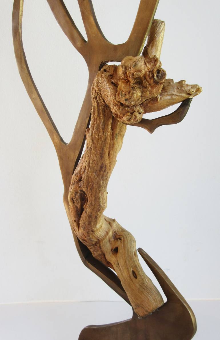 Original Fine Art Nature Sculpture by shaul baz