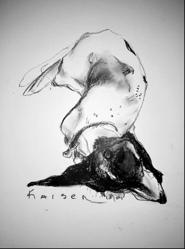 Original Animal Drawing by Karen Frieda Kaiser