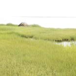 Collection Coastal Chic: Cape Cod Classics
