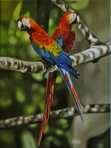 Parrots, Animal Painting, Realism, Hyperrealistic Wall Art thumb