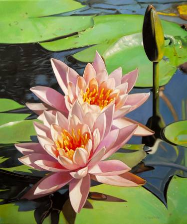 Water Lilies Original Oil on Canvas Painting thumb