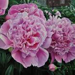 Peonies Flowers Painting by Valeri Tsvetkov