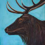 Silver Summit Herd by Nikki Keye
