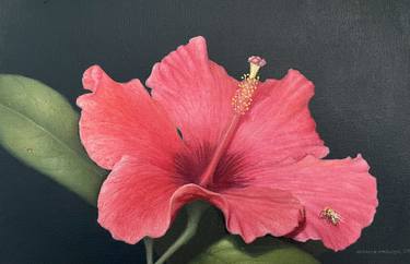 Print of Fine Art Floral Paintings by Hernan Miranda