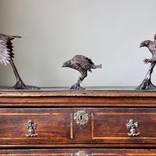 American Eagle Trio by edward waites