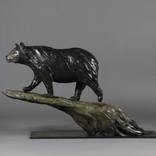 American Black Bear by edward waites