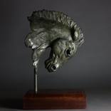 Warrior Horse Head by edward waites