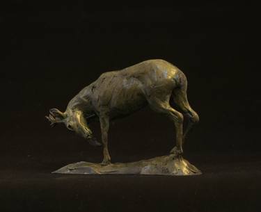 Original Figurative Animal Sculpture by edward waites