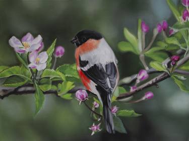 Bird on a Blossoming Cherry Tree thumb