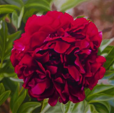 Red Peony Artwork, Floral Painting, Botanical Art thumb