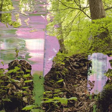 Forest [Overpainted Photograph N°252] thumb